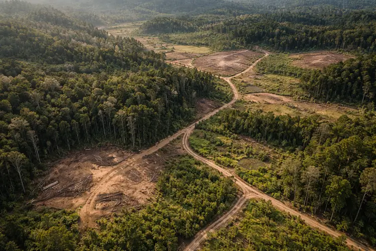 deforestation-land-cover-fragmentation-drone-aerial-environmental-monitoring.webp.webp
